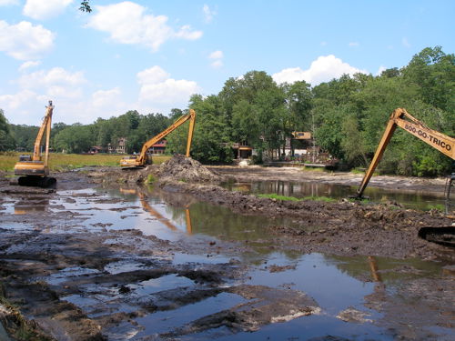 Wetland Stabilization