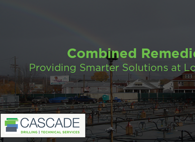 Combined Remedies – Providing Smarter Solutions at Lower Cost