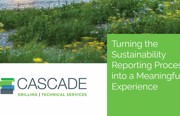 Turning the Sustainability Reporting Process into a Meaningful Experience