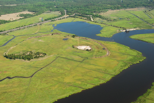 Wetlands and Bank Stabilization