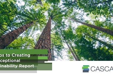 5 Steps to Creating an Exceptional Sustainability Report