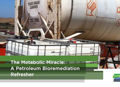The Metabolic Miracle: A Petroleum Bioremediation Refresher