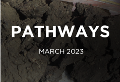A banner for our pathways newsletter