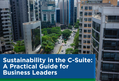 Sustainability in the C-Suite: A Practical Guide for Business Leaders