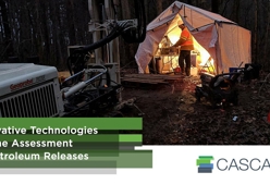 Innovative Technologies for the Assessment of Petroleum Releases